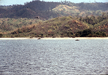 1973 Joint Exercise with PI Military